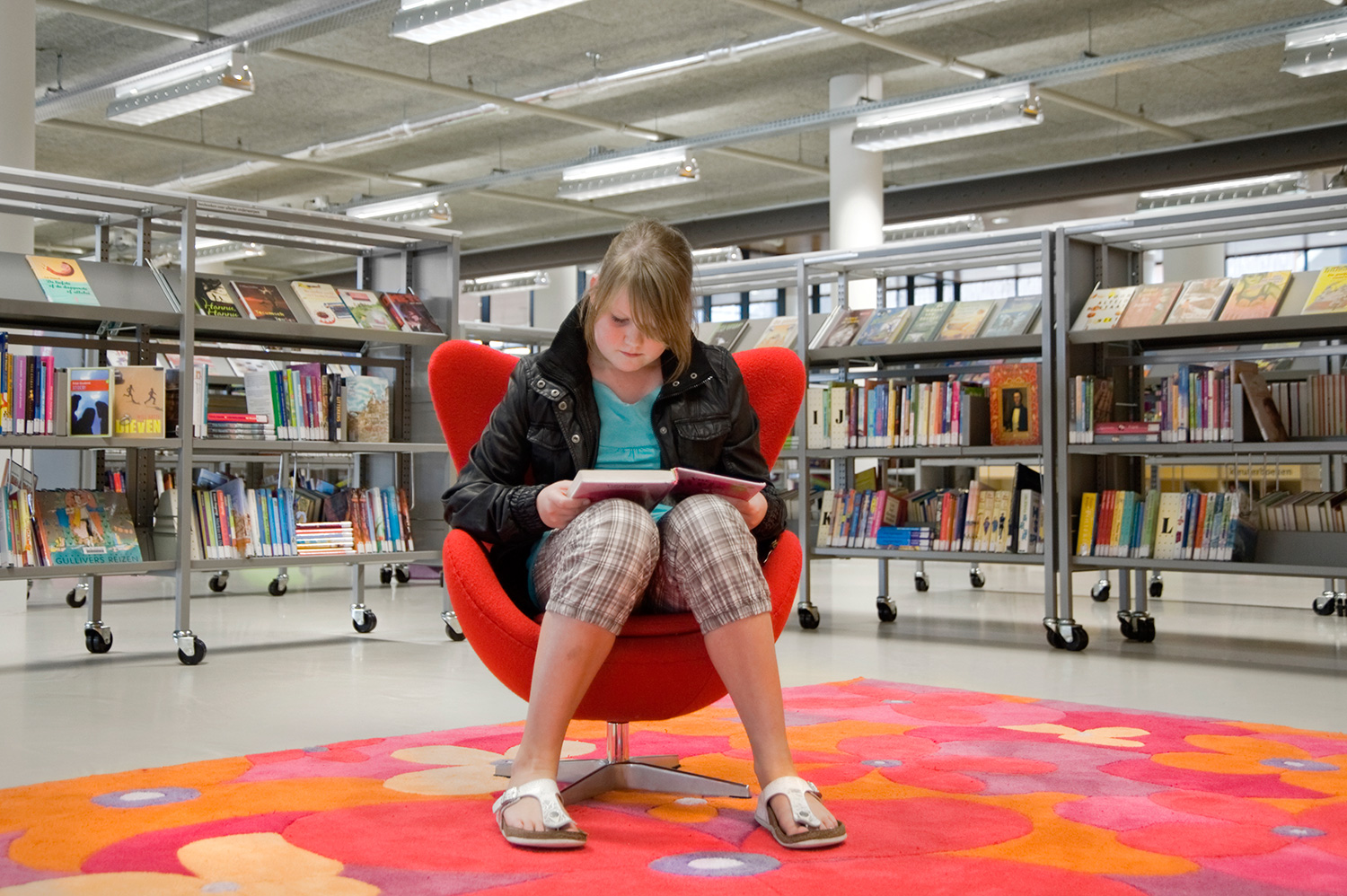 Heemskerk bibliotek, Holland