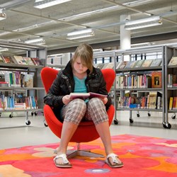Heemskerk bibliotek, Holland