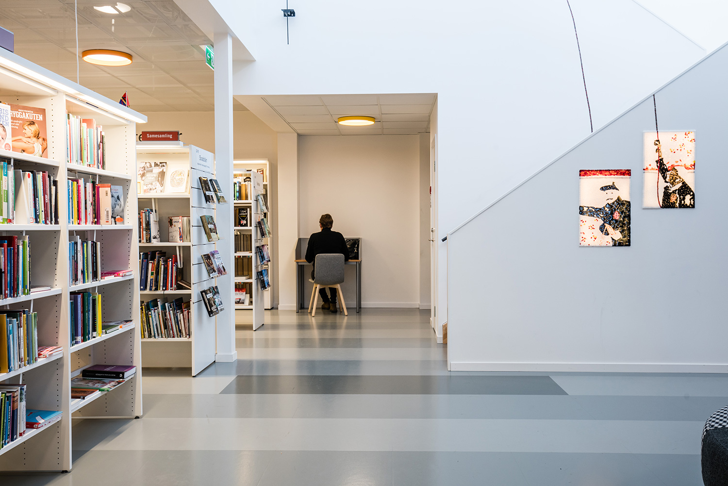 Krokoms bibliotek, Sverige