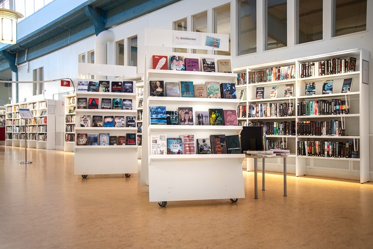 Say "A" mobil exponering (Sala Stadsbibliotek, Sverige)