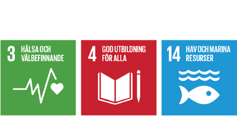 Produktutvecklingen av HabiCave har fokuserat på tre av FN:s globala mål: 3, 4 och 14.