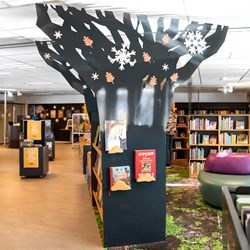 Guldborgsund bibliotek, Danmark