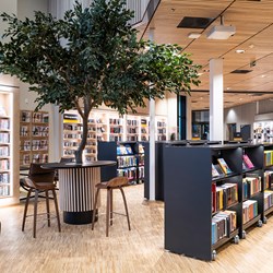 Åsane bibliotek, Norge