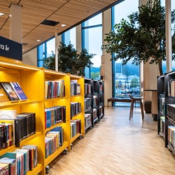 Åsane bibliotek, Norge