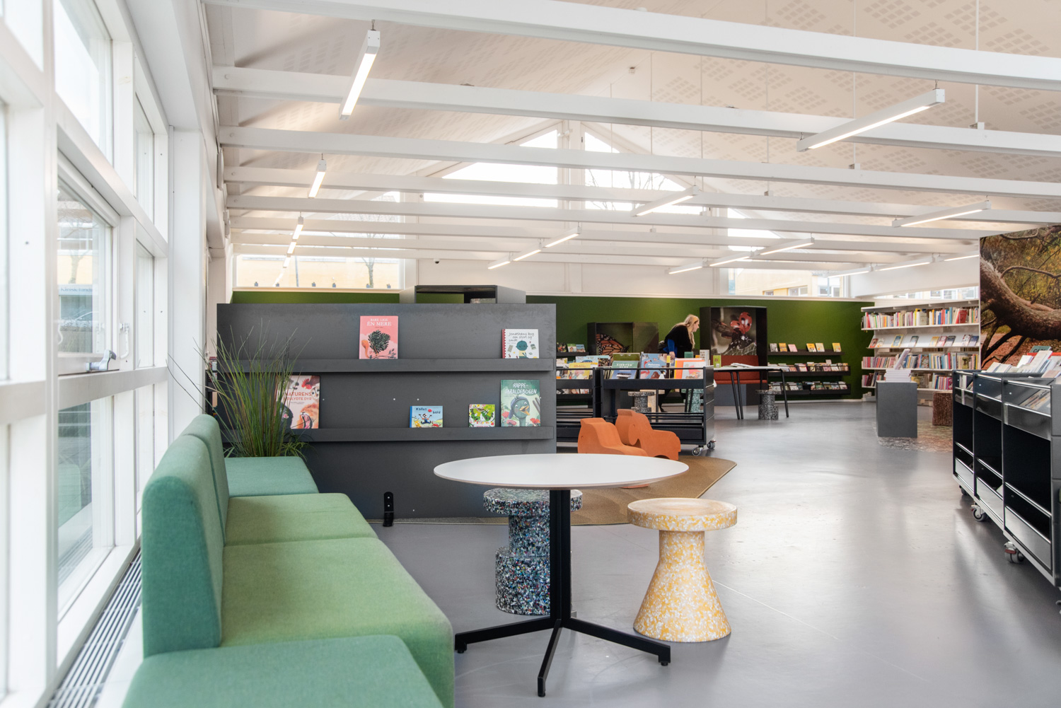 Halsnæs bibliotek, Danmark