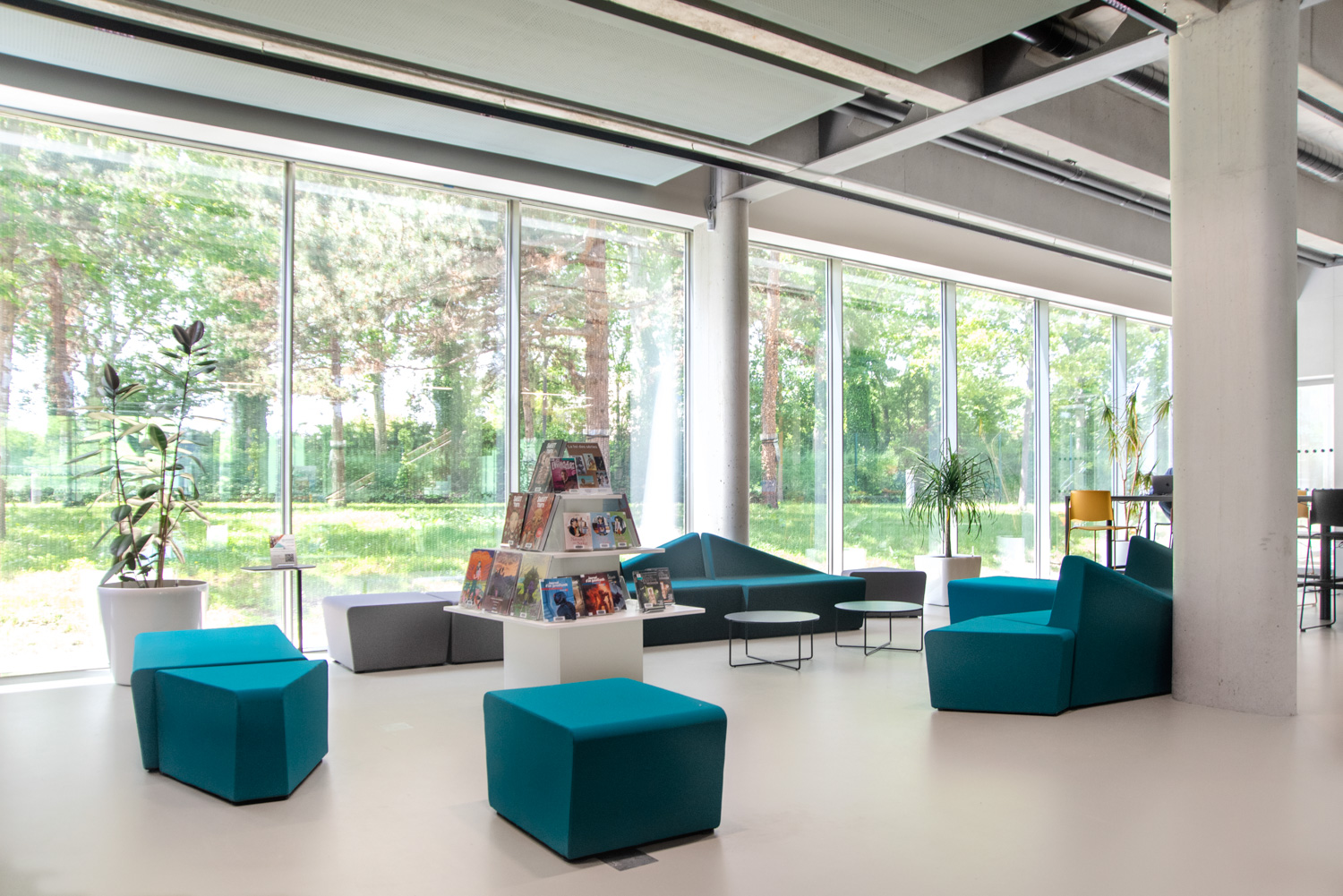 Toulouse bibliotek, Frankrike